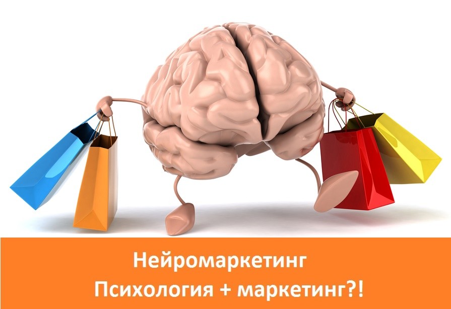 Нейромаркетинг Николас Коро: КАК взорвать мозг потребителя?! 